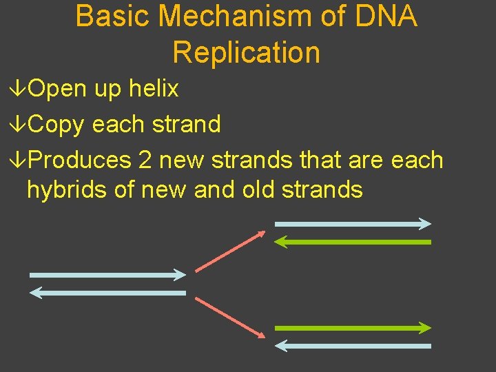 Basic Mechanism of DNA Replication âOpen up helix âCopy each strand âProduces 2 new