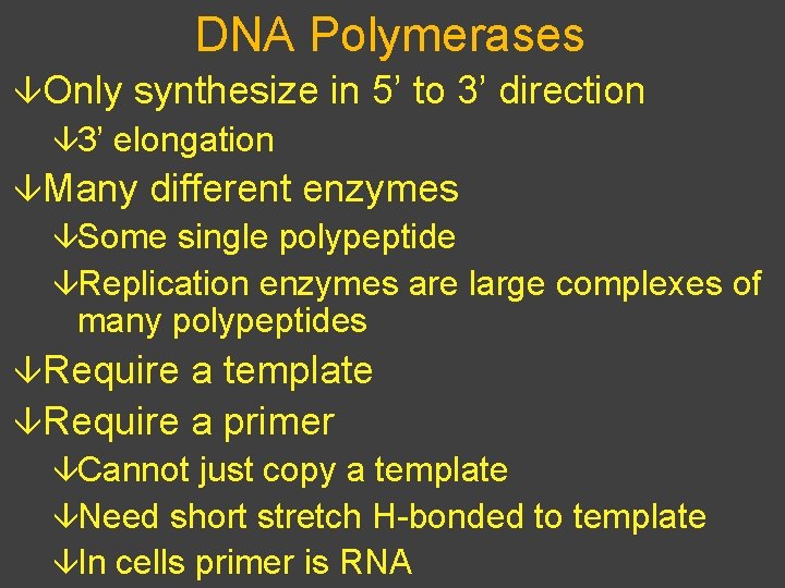 DNA Polymerases âOnly synthesize in 5’ to 3’ direction â 3’ elongation âMany different