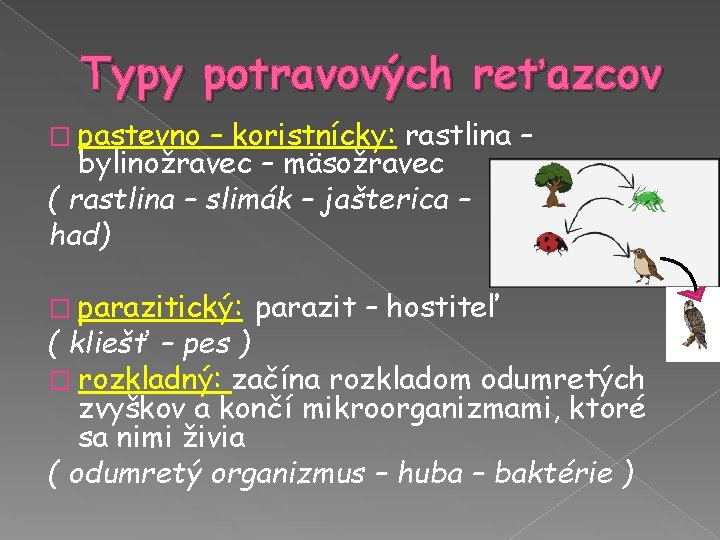 Typy potravových reťazcov � pastevno – koristnícky: rastlina – bylinožravec – mäsožravec ( rastlina