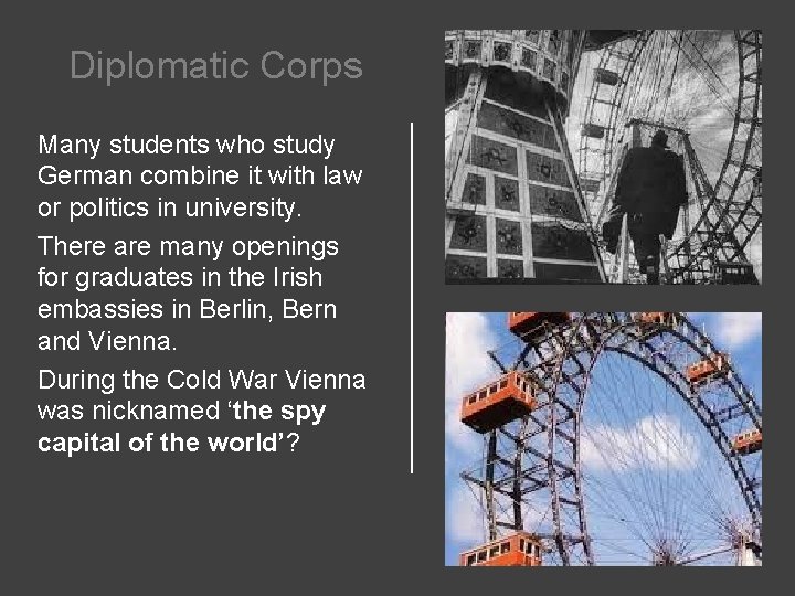 Diplomatic Corps Many students who study German combine it with law or politics in