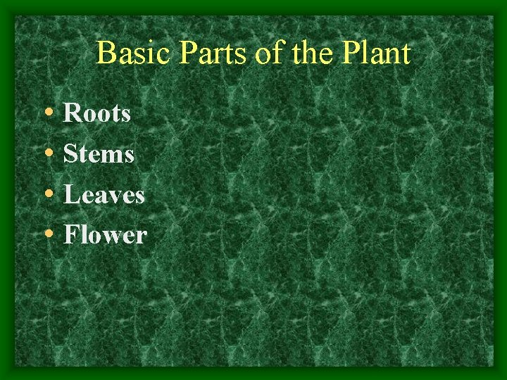 Basic Parts of the Plant • Roots • Stems • Leaves • Flower 