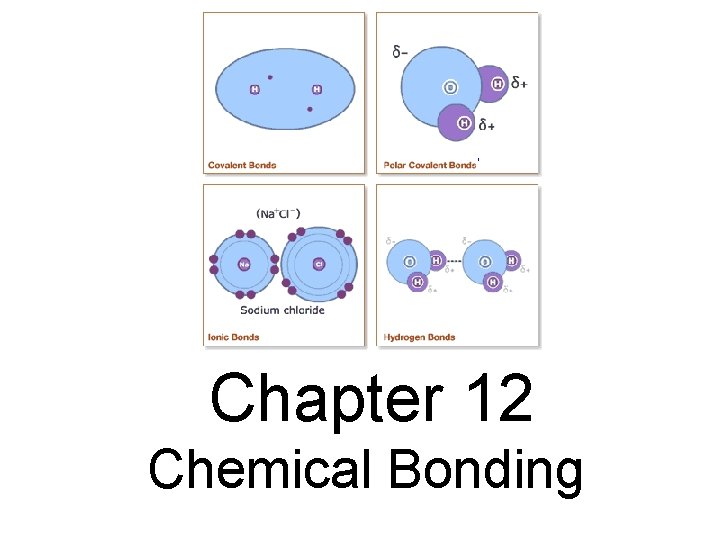 Chapter 12 Chemical Bonding 