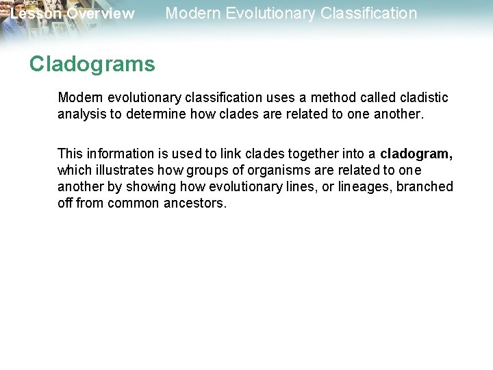 Lesson Overview Modern Evolutionary Classification Cladograms Modern evolutionary classification uses a method called cladistic