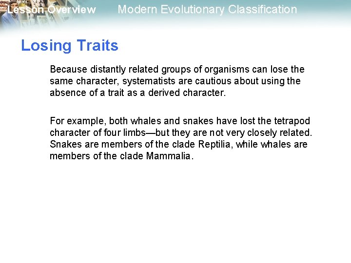 Lesson Overview Modern Evolutionary Classification Losing Traits Because distantly related groups of organisms can