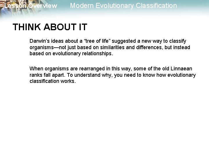 Lesson Overview Modern Evolutionary Classification THINK ABOUT IT Darwin’s ideas about a “tree of
