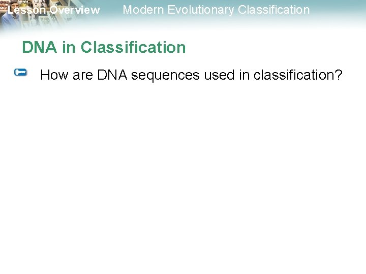 Lesson Overview Modern Evolutionary Classification DNA in Classification How are DNA sequences used in