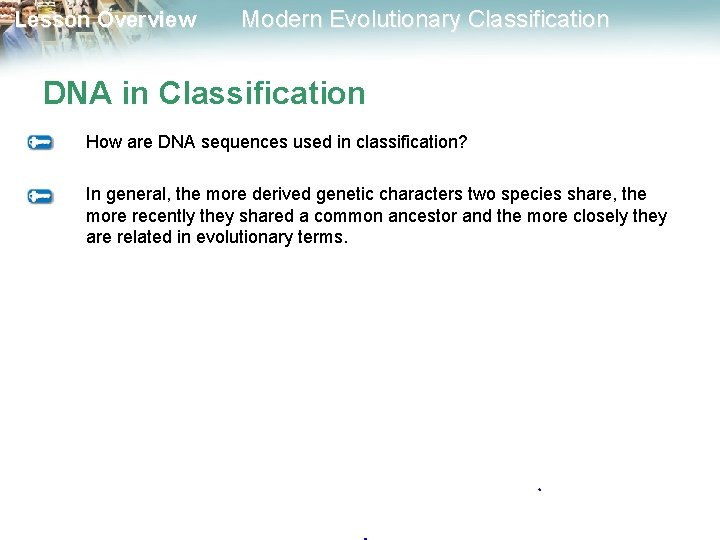Lesson Overview Modern Evolutionary Classification DNA in Classification How are DNA sequences used in