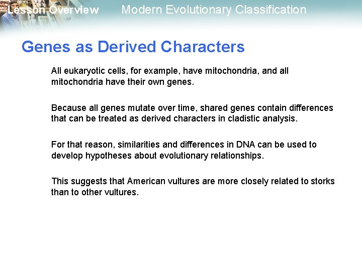 Lesson Overview Modern Evolutionary Classification Genes as Derived Characters All eukaryotic cells, for example,