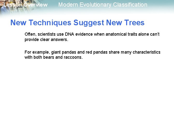 Lesson Overview Modern Evolutionary Classification New Techniques Suggest New Trees Often, scientists use DNA