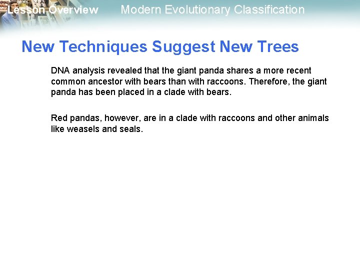 Lesson Overview Modern Evolutionary Classification New Techniques Suggest New Trees DNA analysis revealed that