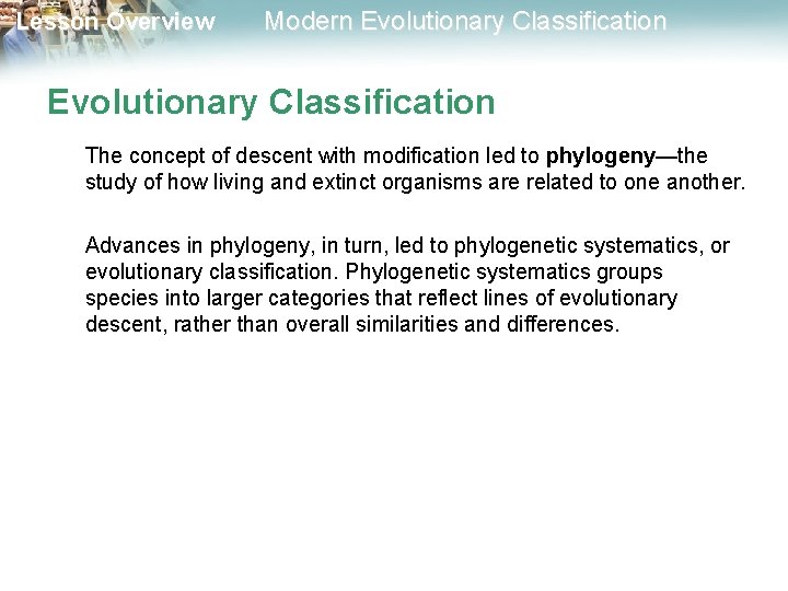 Lesson Overview Modern Evolutionary Classification The concept of descent with modification led to phylogeny—the