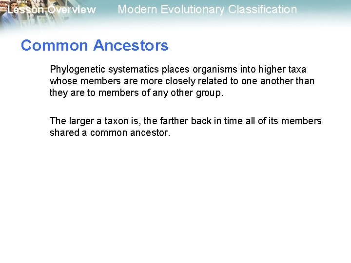 Lesson Overview Modern Evolutionary Classification Common Ancestors Phylogenetic systematics places organisms into higher taxa