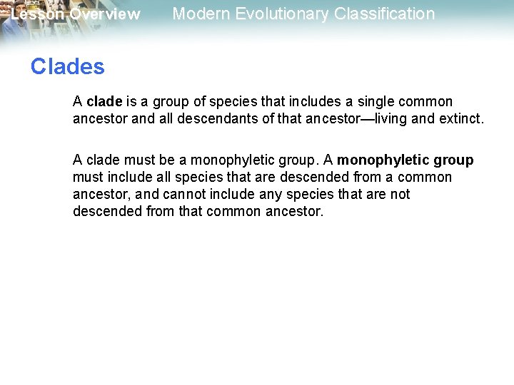 Lesson Overview Modern Evolutionary Classification Clades A clade is a group of species that