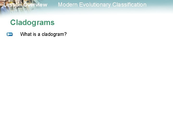 Lesson Overview Modern Evolutionary Classification Cladograms What is a cladogram? 