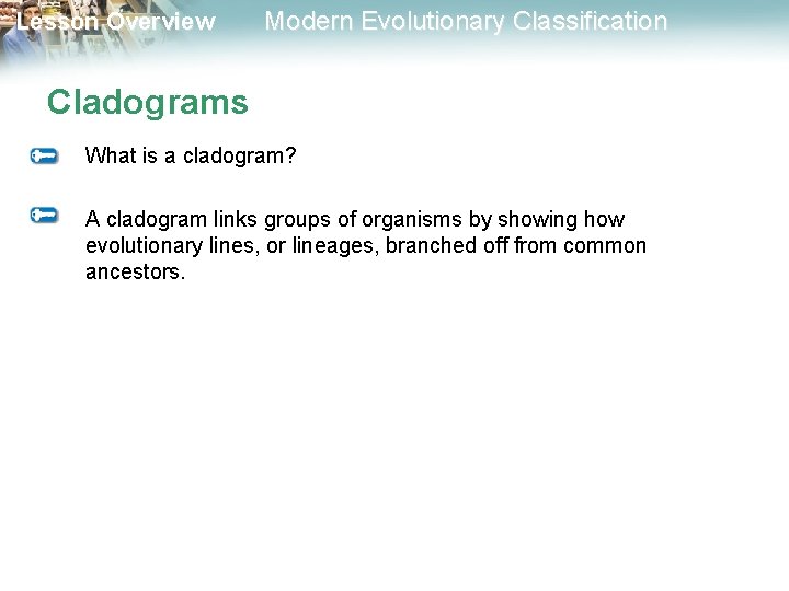 Lesson Overview Modern Evolutionary Classification Cladograms What is a cladogram? A cladogram links groups