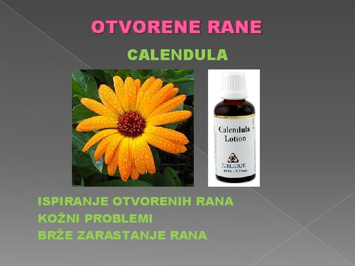 OTVORENE RANE CALENDULA ISPIRANJE OTVORENIH RANA KOŽNI PROBLEMI BRŽE ZARASTANJE RANA 