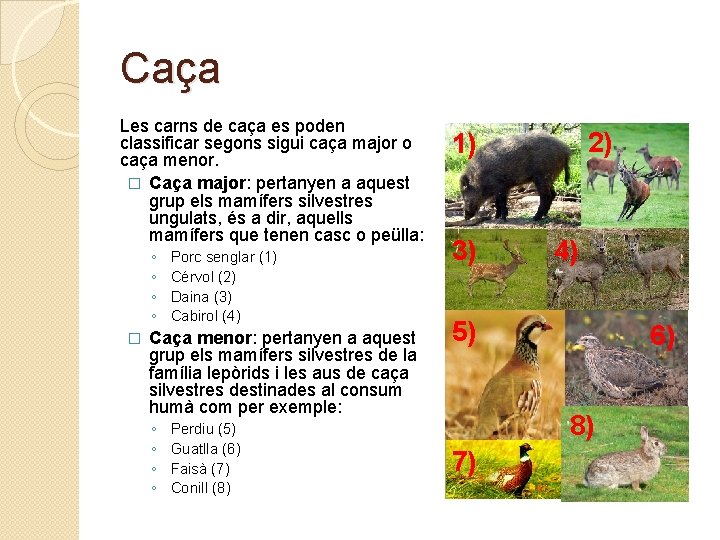 Caça Les carns de caça es poden classificar segons sigui caça major o caça