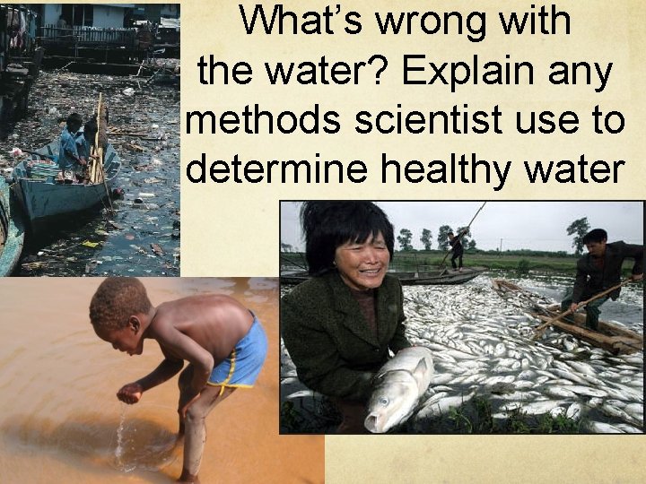 What’s wrong with the water? Explain any methods scientist use to determine healthy water