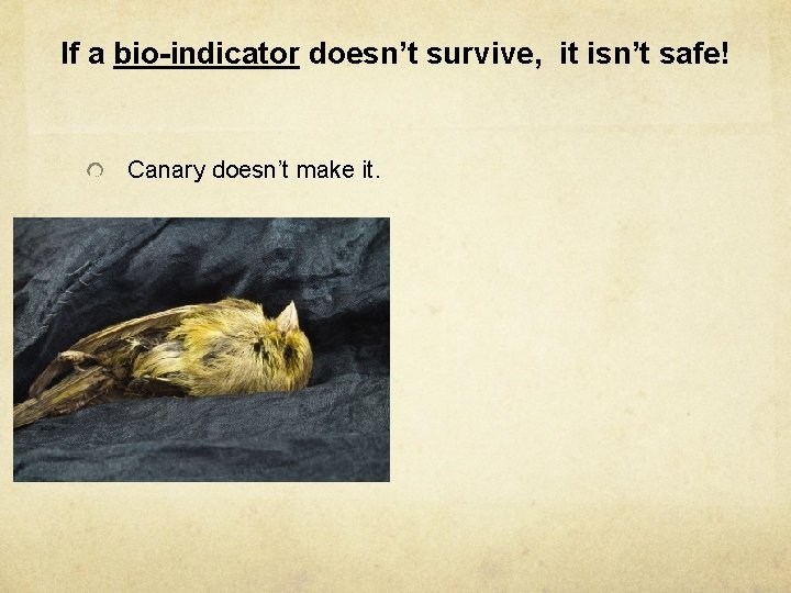 If a bio-indicator doesn’t survive, it isn’t safe! Canary doesn’t make it. 