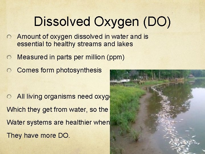 Dissolved Oxygen (DO) Amount of oxygen dissolved in water and is essential to healthy