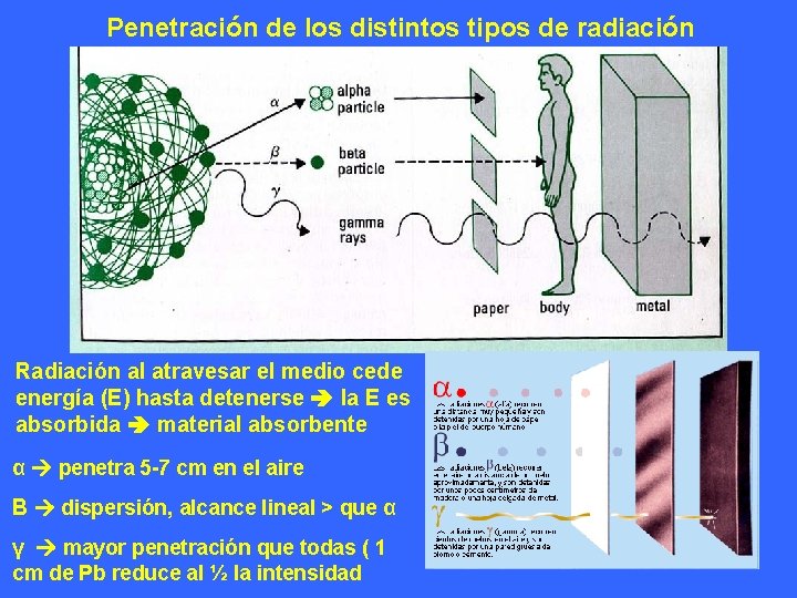 Penetración de los distintos tipos de radiación Radiación al atravesar el medio cede energía Penetración de los distintos tipos de radiación Radiación al atravesar el medio cede energía
