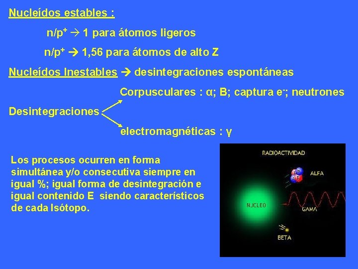 Nucleídos estables : n/p+ 1 para átomos ligeros n/p+ 1, 56 para átomos de Nucleídos estables : n/p+ 1 para átomos ligeros n/p+ 1, 56 para átomos de