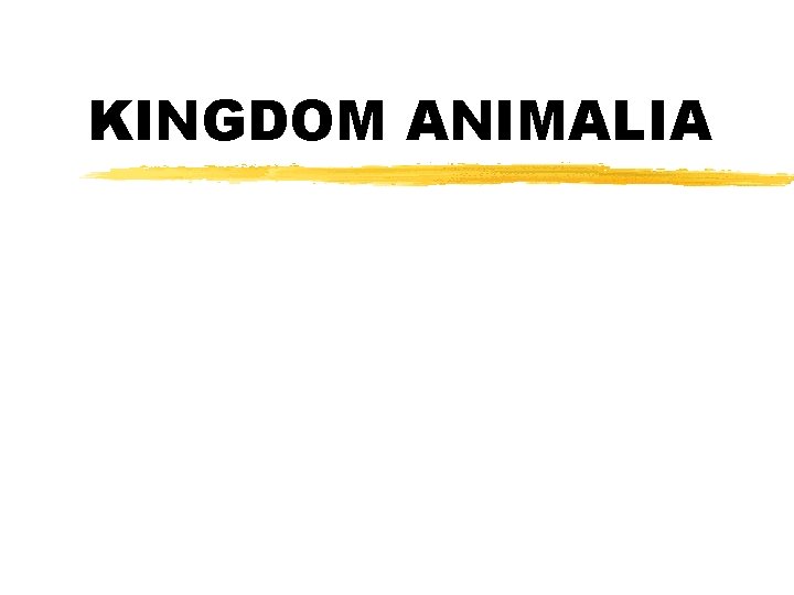 KINGDOM ANIMALIA 
