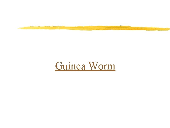 Guinea Worm 