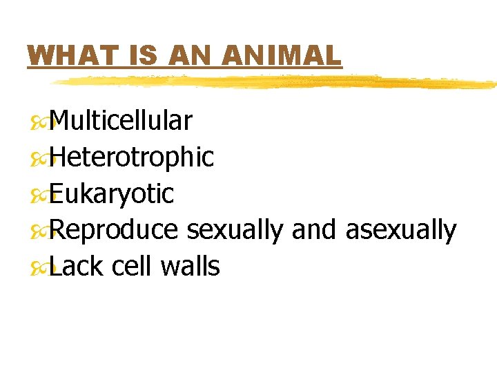 WHAT IS AN ANIMAL Multicellular Heterotrophic Eukaryotic Reproduce sexually and asexually Lack cell walls