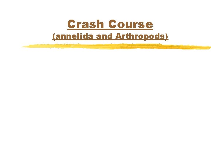 Crash Course (annelida and Arthropods) 