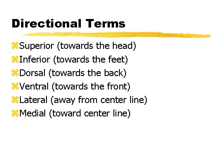 Directional Terms z. Superior (towards the head) z. Inferior (towards the feet) z. Dorsal