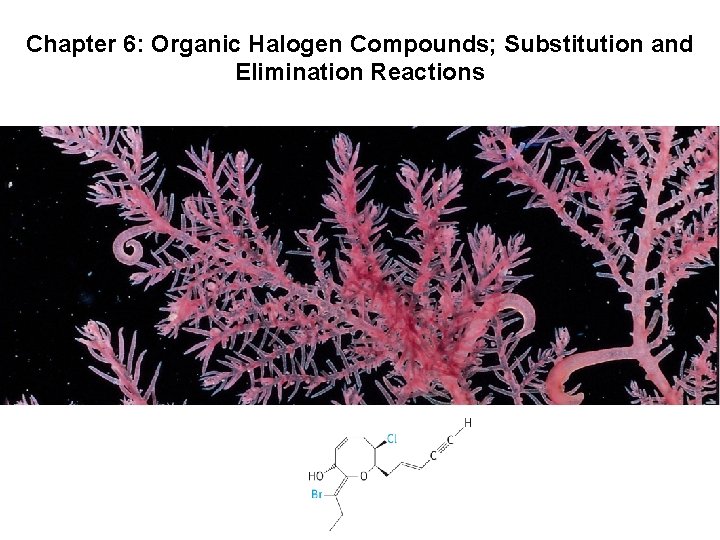 Chapter 6: Organic Halogen Compounds; Substitution and Elimination Reactions 