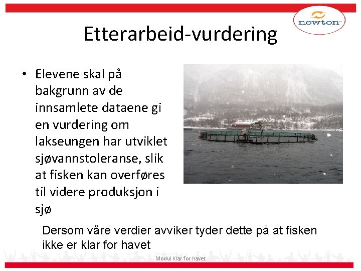 Etterarbeid-vurdering • Elevene skal på bakgrunn av de innsamlete dataene gi en vurdering om