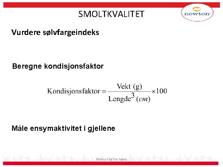 SMOLTKVALITET Vurdere sølvfargeindeks Beregne kondisjonsfaktor Måle ensymaktivitet i gjellene Modul Klar for havet 