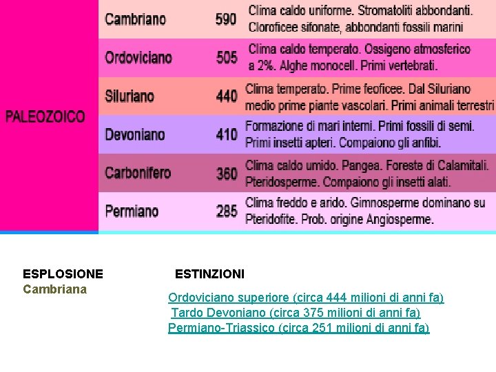 ESPLOSIONE Cambriana ESTINZIONI Ordoviciano superiore (circa 444 milioni di anni fa) Tardo Devoniano (circa