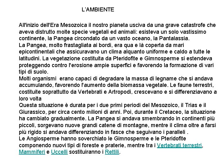 L’AMBIENTE All'inizio dell'Era Mesozoica il nostro pianeta usciva da una grave catastrofe che aveva