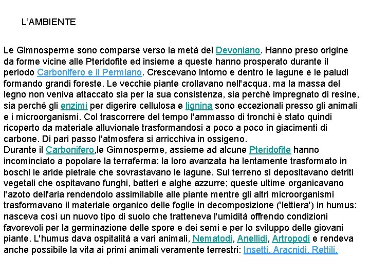 L’AMBIENTE Le Gimnosperme sono comparse verso la metà del Devoniano. Hanno preso origine da