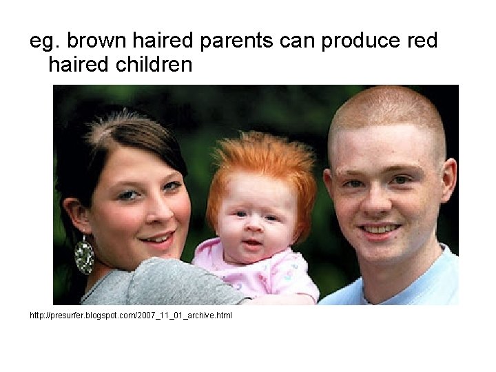 eg. brown haired parents can produce red haired children http: //presurfer. blogspot. com/2007_11_01_archive. html