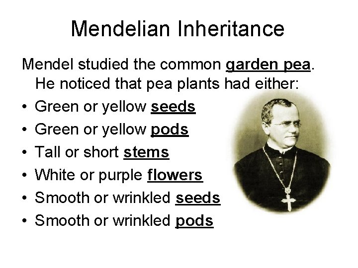 Mendelian Inheritance Mendel studied the common garden pea. He noticed that pea plants had