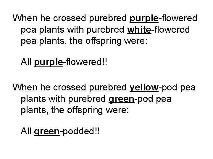 When he crossed purebred purple-flowered pea plants with purebred white-flowered pea plants, the offspring