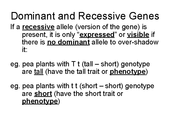 Dominant and Recessive Genes If a recessive allele (version of the gene) is present,