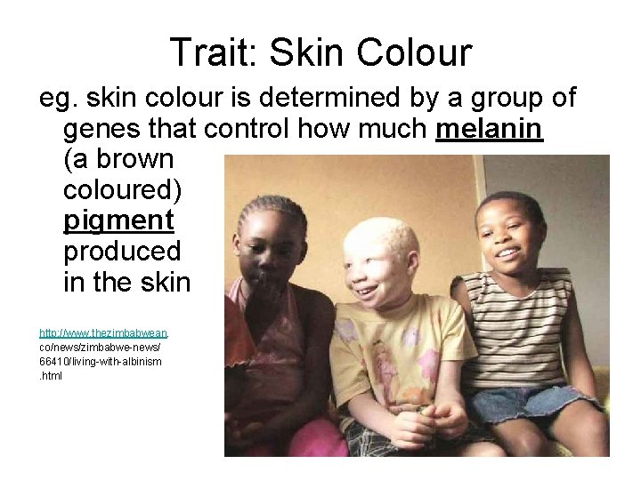 Trait: Skin Colour eg. skin colour is determined by a group of genes that