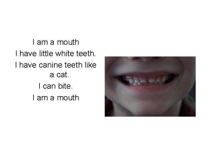 I am a mouth I have little white teeth. I have canine teeth like