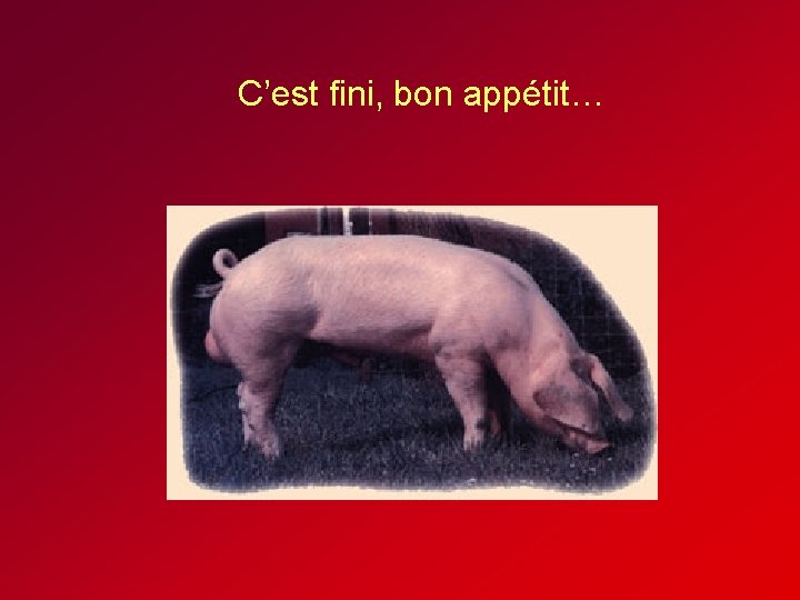 C’est fini, bon appétit… C’est fini, bon appétit…