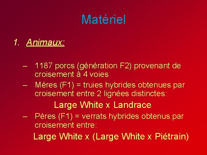 Matériel 1. Animaux: – 1187 porcs (génération F 2) provenant de croisement à 4 Matériel 1. Animaux: – 1187 porcs (génération F 2) provenant de croisement à 4