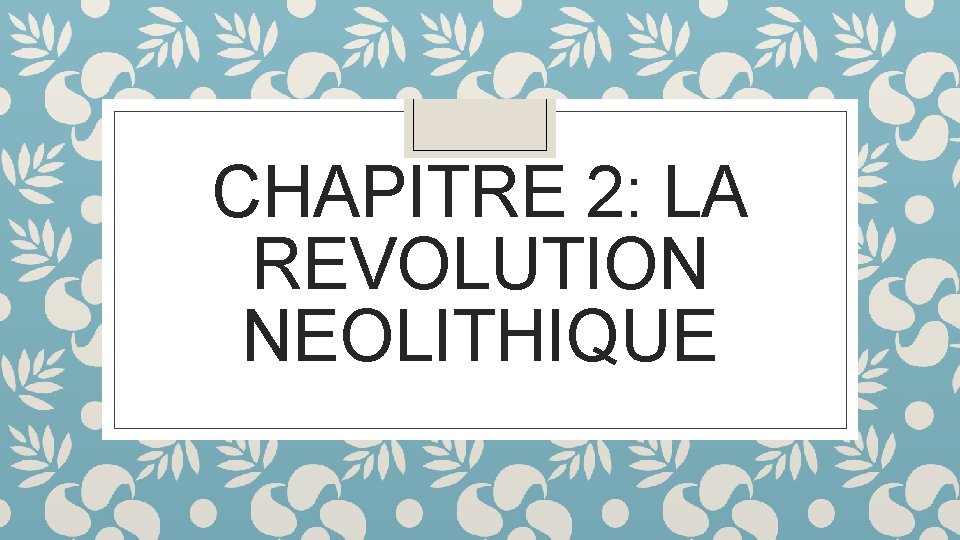 CHAPITRE 2: LA REVOLUTION NEOLITHIQUE 