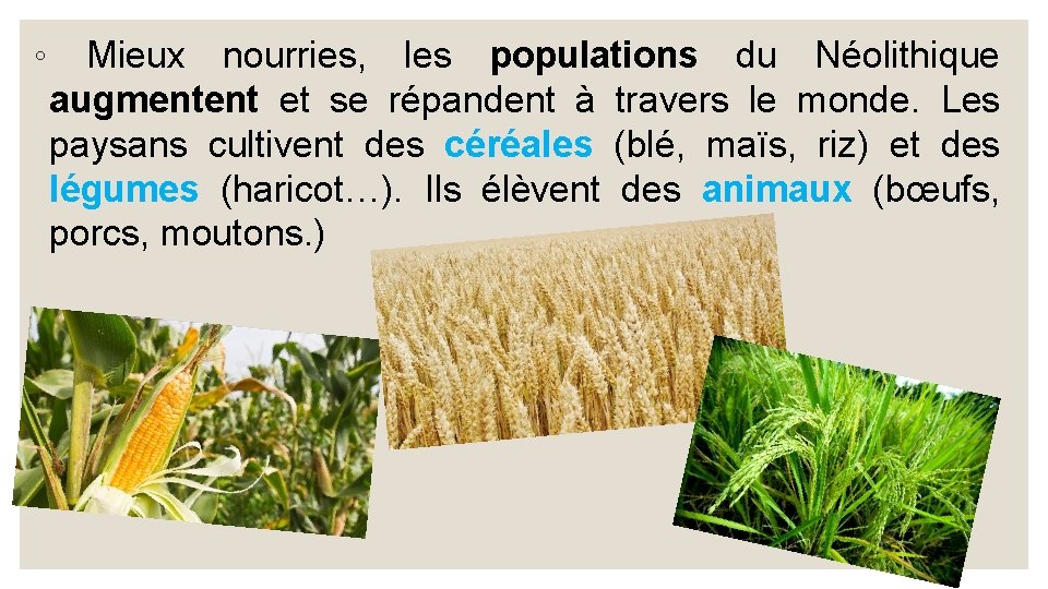 ◦ Mieux nourries, les populations du Néolithique augmentent et se répandent à travers le