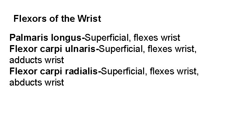 Flexors of the Wrist Palmaris longus-Superficial, flexes wrist Flexor carpi ulnaris-Superficial, flexes wrist, adducts