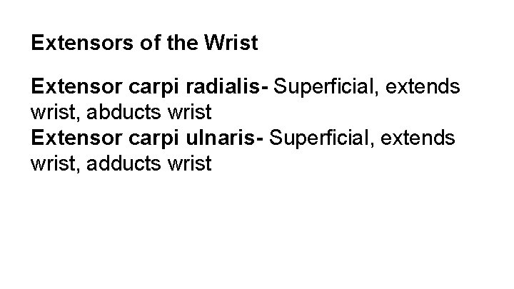 Extensors of the Wrist Extensor carpi radialis- Superficial, extends wrist, abducts wrist Extensor carpi