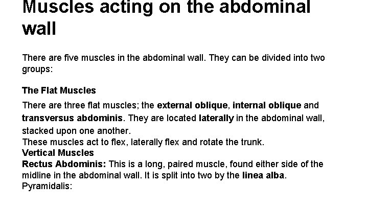 Muscles acting on the abdominal wall There are five muscles in the abdominal wall.